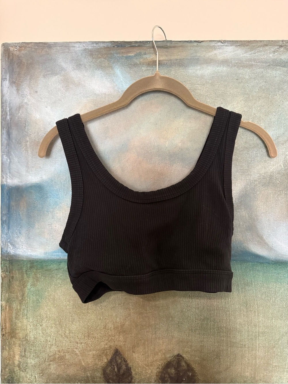 ALO Yoga Black Ribbed Crop Tank